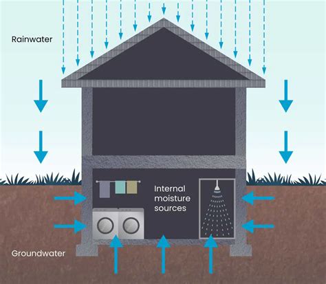 high moisture level in basement